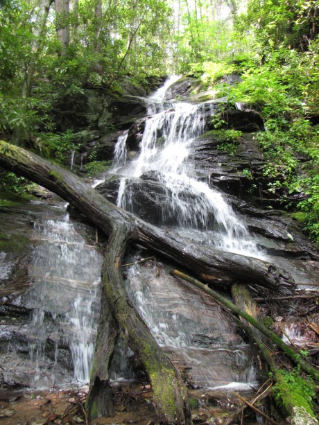 Fisher Watershed in Sylva, NC