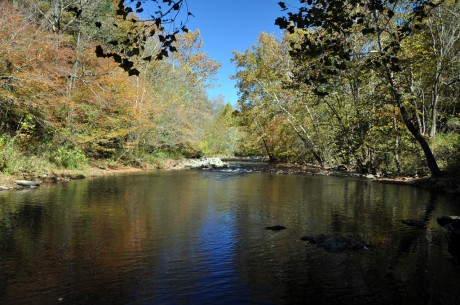 Welch Farm Tract, Photo by Ralph Preston