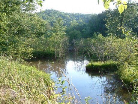 Stateline wetland 5 30 07 004 (2)