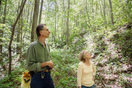 (Sylva Herald photo by Nick Breedlove) George Rector, left, and Joan Byrd, right look up at tree canopy on a portion of the 104-acre tract in Cullowhee’s Speedwell community they recently placed in a conservation easement with the Land Trust for the Little Tennessee. As a result, no commercial development will ever take place on the property. With them is their dog, a Chow Chow named Asland. 